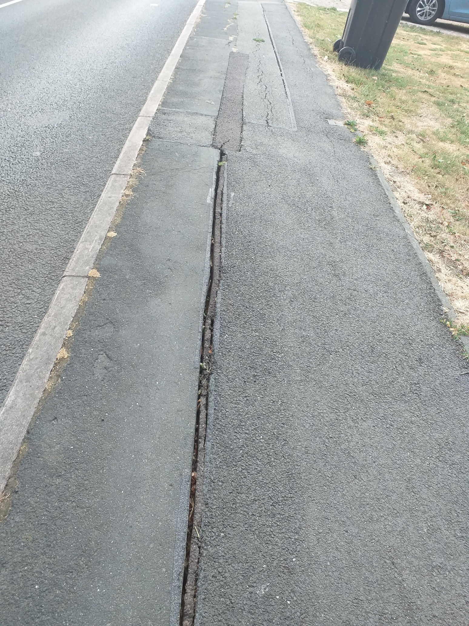 Cracked pavement in Forest Road